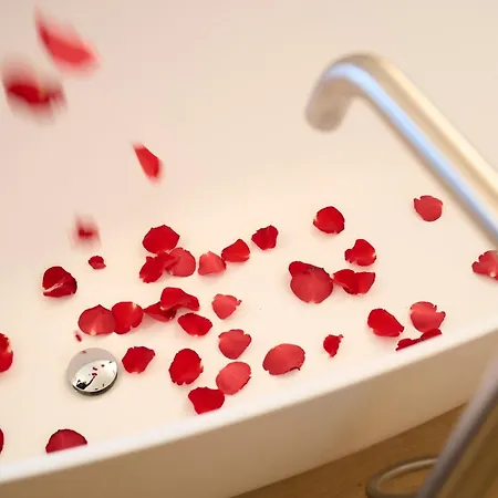 Boutique Cuserina Wellness