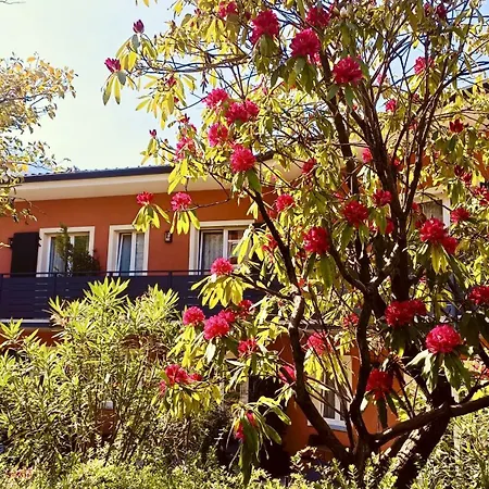 Boutique Cuserina Wellness 3* Каннобио