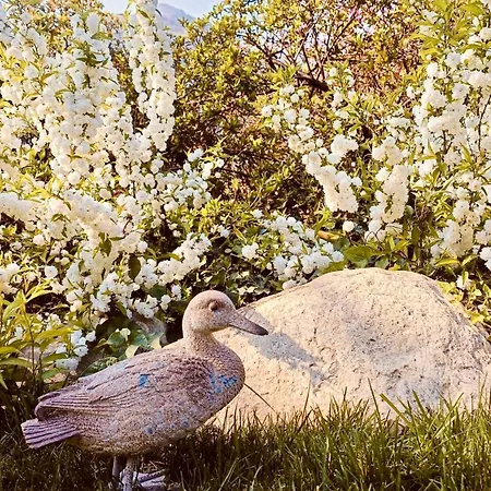 Ξενοδοχείο Cuserina